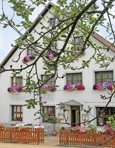 Hotel Restaurant Engel Pfaffenweiler Ngoại thất bức ảnh